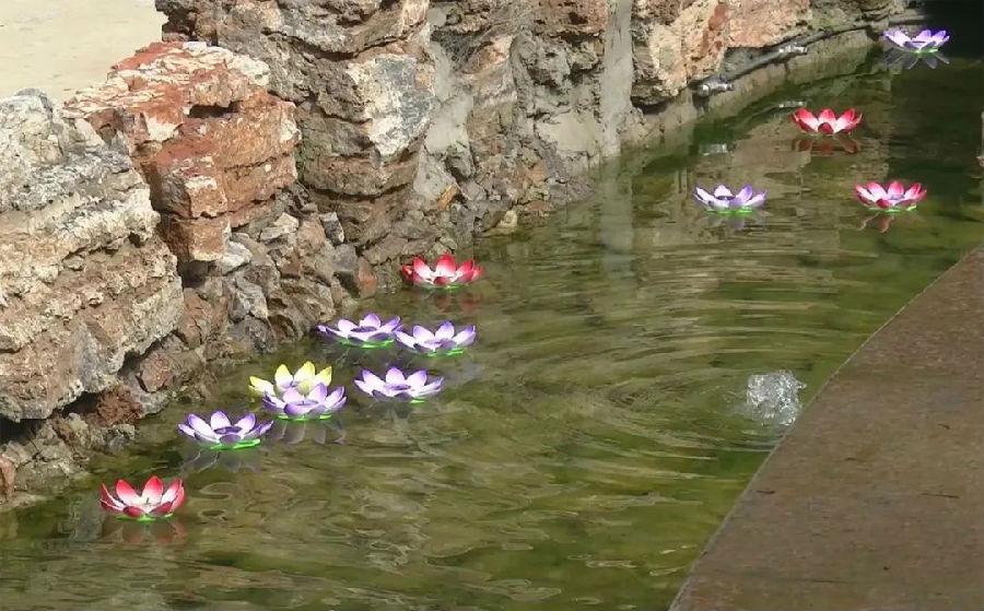 放莲花灯祈福 放莲花灯祈福