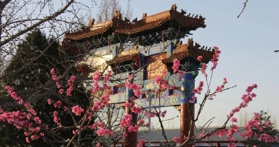 花开 花开