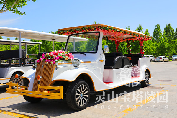 摆渡车 摆渡车