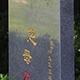 核实碑文小样碑文刻字