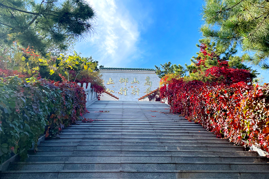 灵山宝塔陵园景观 灵山宝塔陵园景观