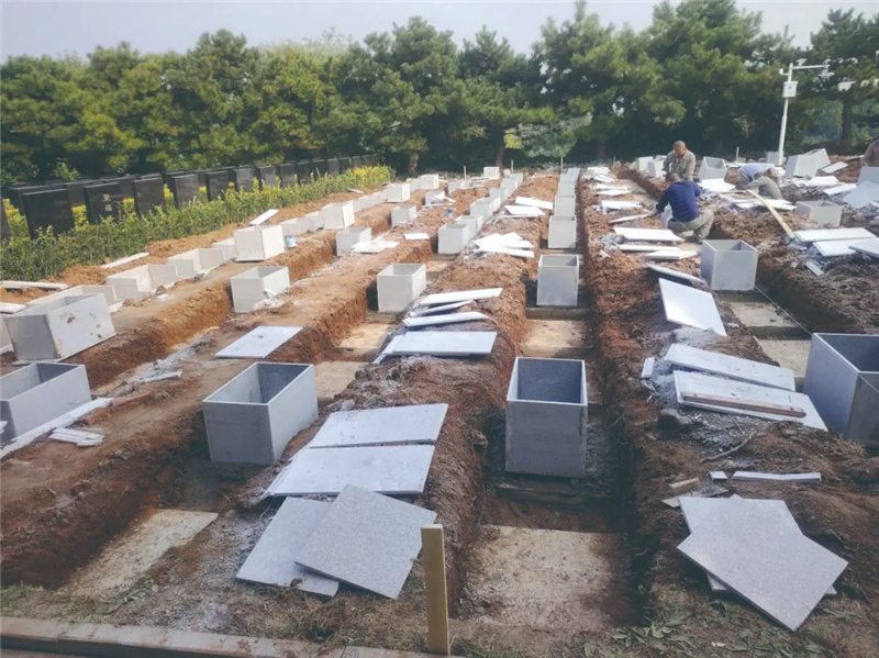 新区建设