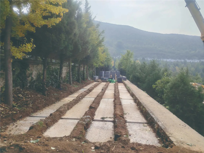 新区建设